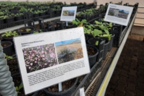 Şanlıurfa’dan Kurakçıl Peyzaj Projesi Desteği Şanlıurfa’dan Kurakçıl Peyzaj Projesi Desteği