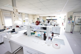 DENÇEV, TÜRKAK Denetimini Başarıyla Geçti! DENÇEV, TÜRKAK Denetimini Başarıyla Geçti!